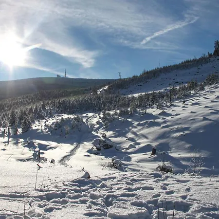 Apartment Harzsight180 Bad Harzburg