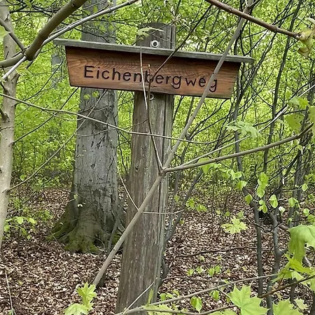 Harzsight180 * Bad Harzburg