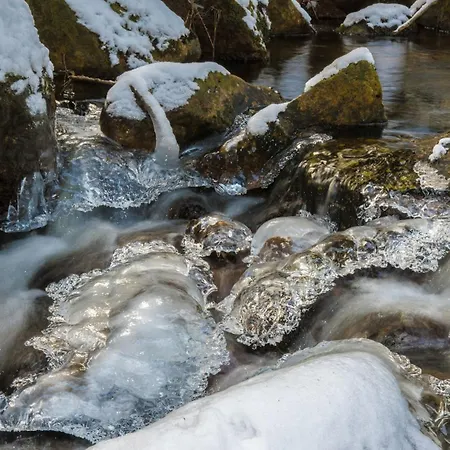 Apartamento Harzsight180 *