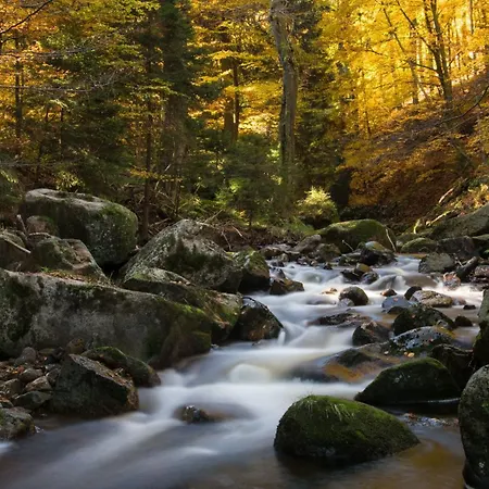 Apartamento Harzsight180