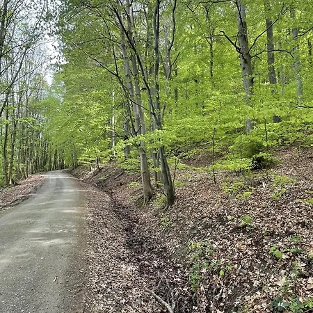 Apartamento Harzsight180 *